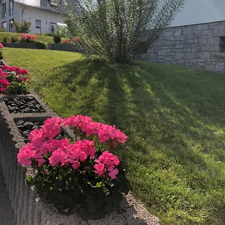 Westerwald - Grosse Ferienhaus, Zentral Und Ruhig, Einfach Gut! Διαμέρισμα *