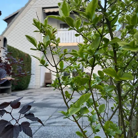 Lägenhet Westerwald - Grosse Ferienhaus, Zentral Und Ruhig, Einfach Gut!